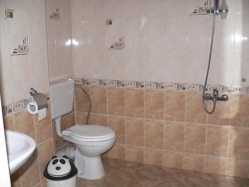 Pamir Guest House シプコヴォ エクステリア 写真